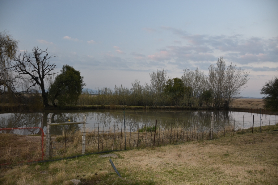 4 Bedroom Property for Sale in Rouxville Free State